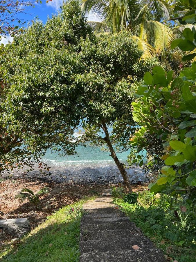 Hotel Casa Del Vega A Little Peace Of Heaven Castries Exterior foto