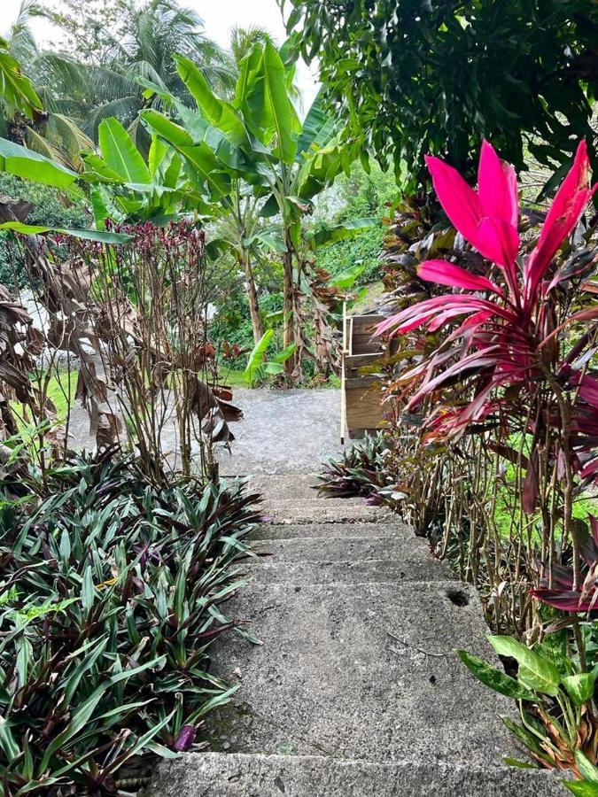 Hotel Casa Del Vega A Little Peace Of Heaven Castries Exterior foto