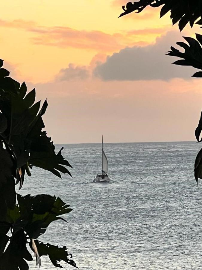 Hotel Casa Del Vega A Little Peace Of Heaven Castries Exterior foto
