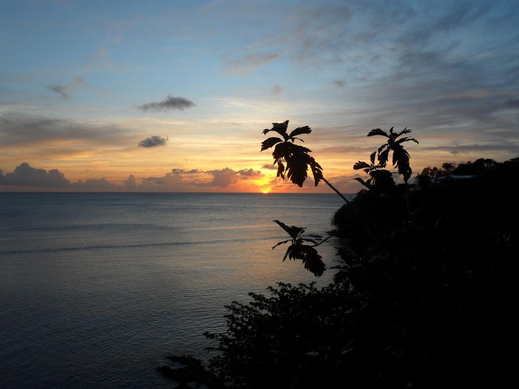 Hotel Casa Del Vega A Little Peace Of Heaven Castries Zimmer foto