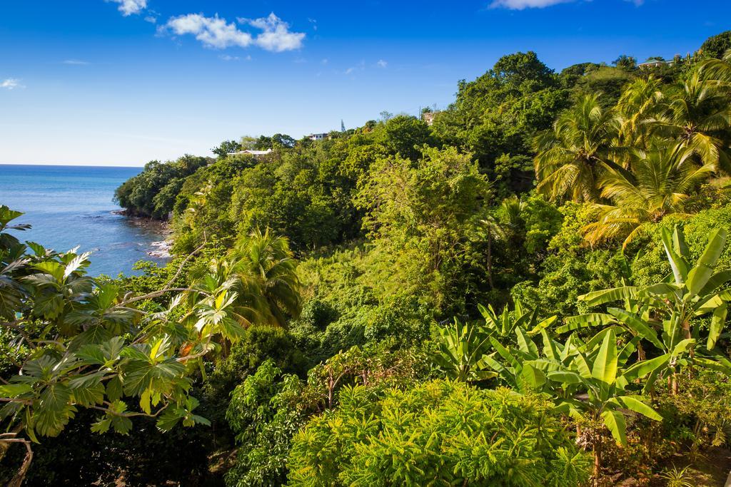 Hotel Casa Del Vega A Little Peace Of Heaven Castries Exterior foto
