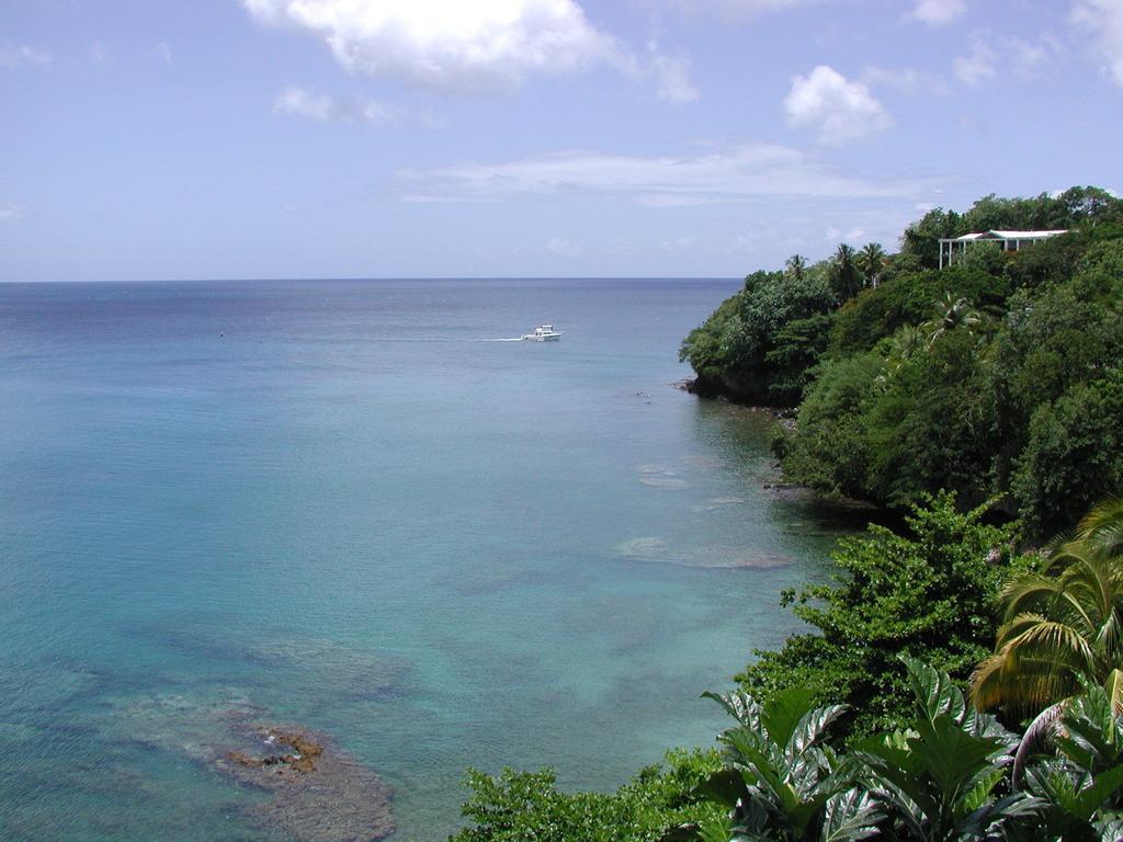 Hotel Casa Del Vega A Little Peace Of Heaven Castries Zimmer foto