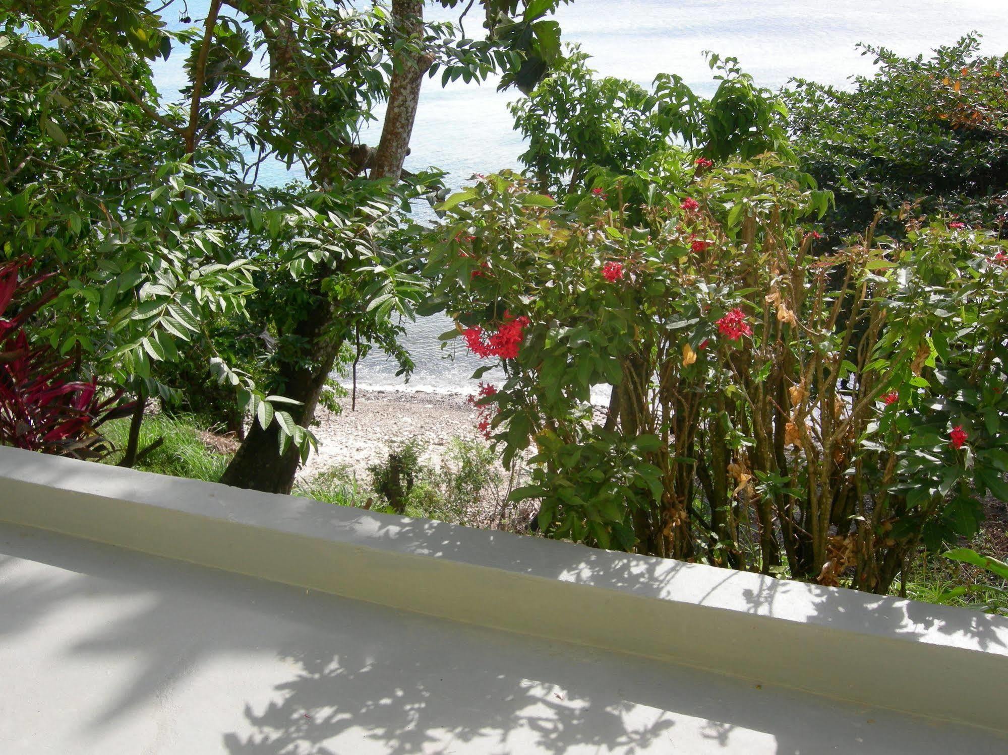 Hotel Casa Del Vega A Little Peace Of Heaven Castries Exterior foto